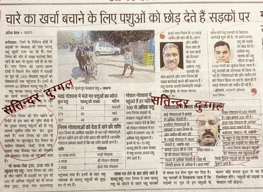 चारे का खर्चा बचाने के लिए पशुओं को छोड़ देते हैं सड़कों पर