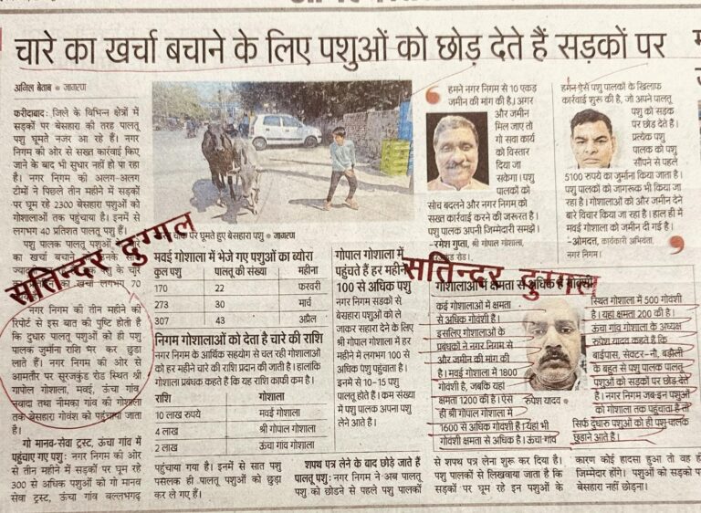 चारे का खर्चा बचाने के लिए पशुओं को छोड़ देते हैं सड़कों पर
