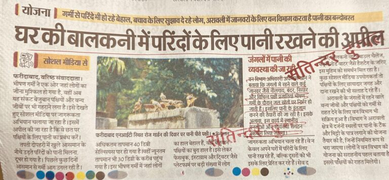 घर की बालकनी में परिंदों के लिए पानी रखने की अपील