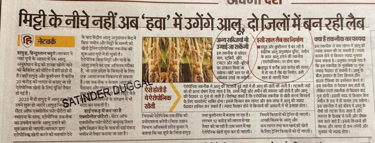 मिट्टी के नीचे नहीं अब 'हवा' में उगेंगे आलू, दो जिलों में बन रही लैब