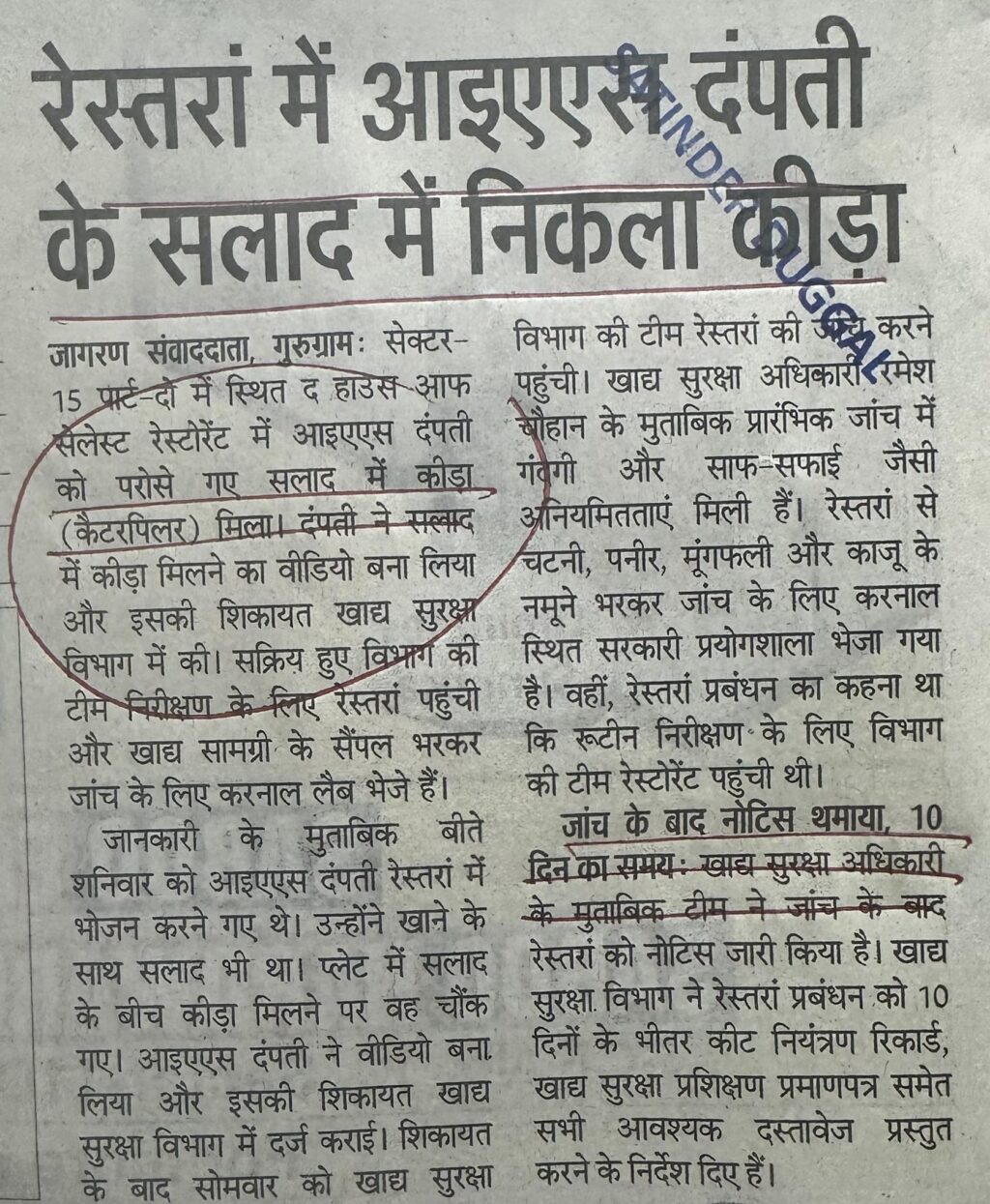 रेस्तरां में आइएएस दंपती के सलाद में निकला कीड़ा
