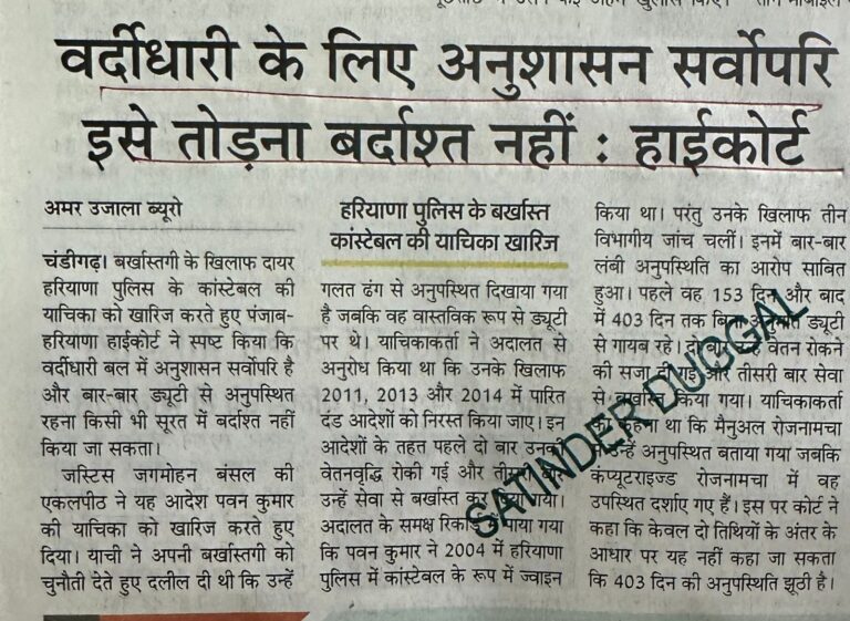 WhatsApp Image 2025-10-25 at 11.35.09 AM