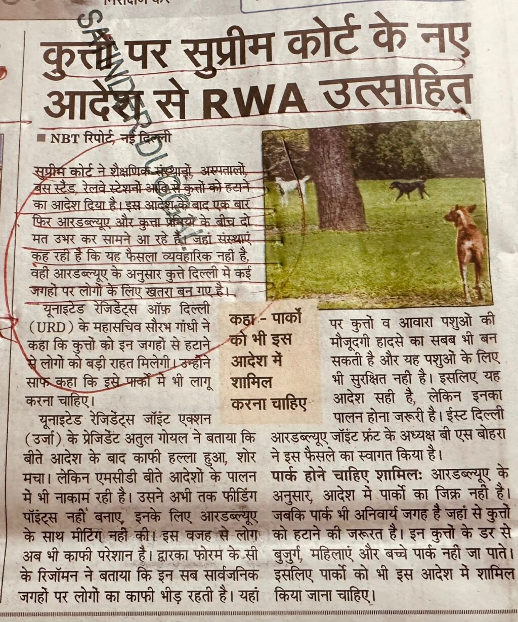 WhatsApp Image 2025-11-08 at 1.01.34 PM (1)