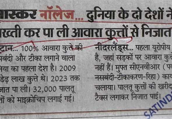 WhatsApp Image 2025-11-08 at 1.01.36 PM