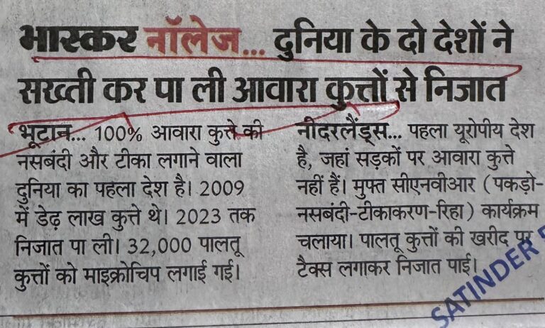 WhatsApp Image 2025-11-08 at 1.01.36 PM