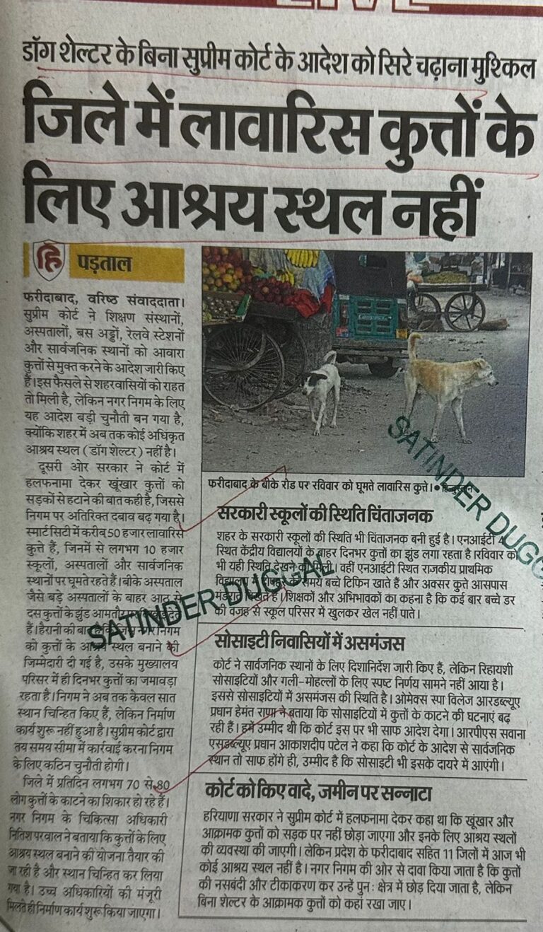 WhatsApp Image 2025-11-10 at 1.40.20 PM