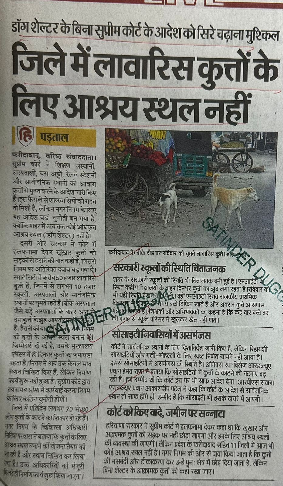 WhatsApp Image 2025-11-10 at 1.40.20 PM