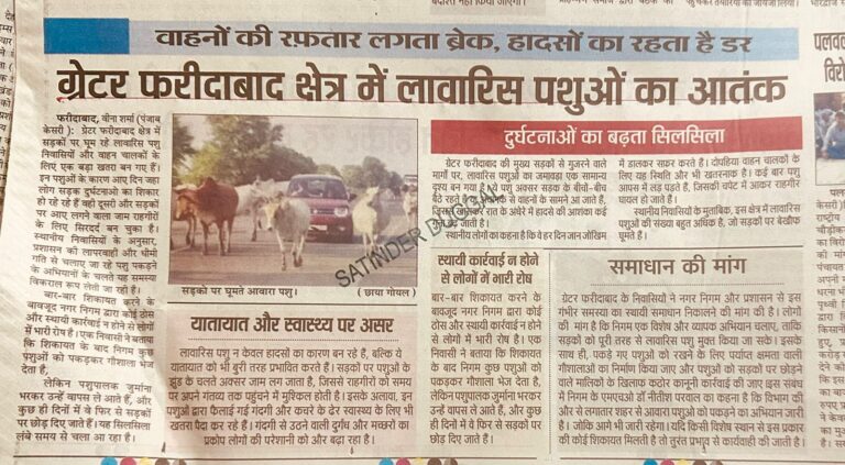 WhatsApp Image 2025-11-10 at 1.40.21 PM (1)