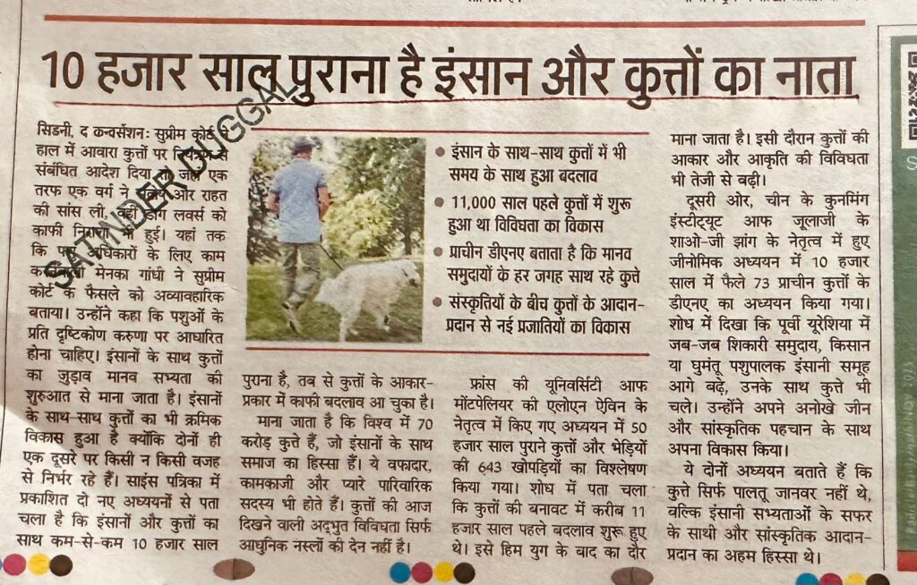 WhatsApp Image 2025-11-15 at 12.38.56 PM