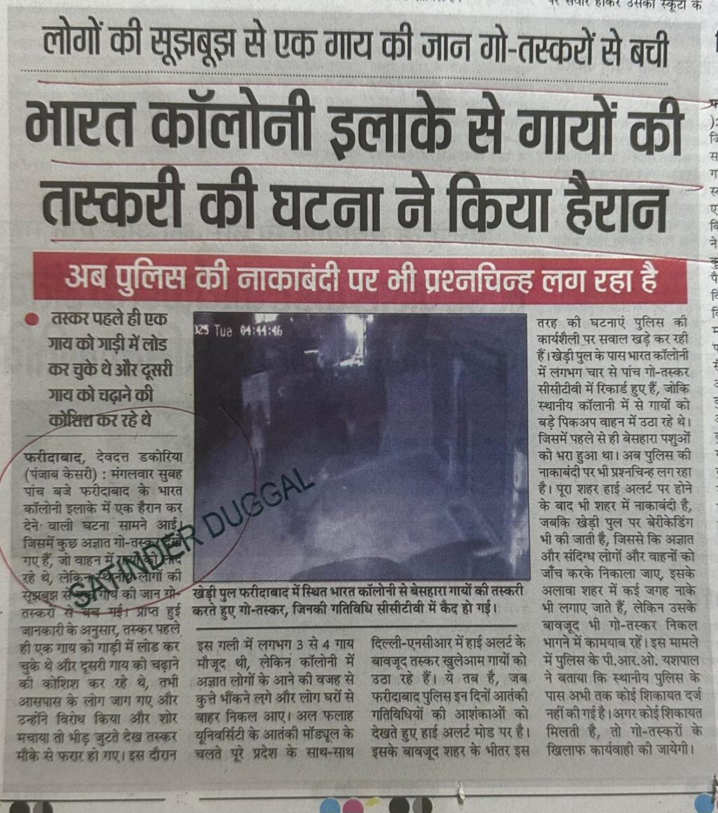 WhatsApp Image 2025-11-26 at 12.34.09 PM (1)