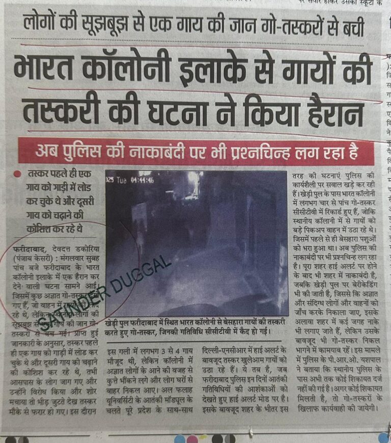 WhatsApp Image 2025-11-26 at 12.34.09 PM (1)