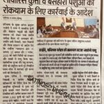 WhatsApp Image 2025-11-29 at 1.42.33 PM