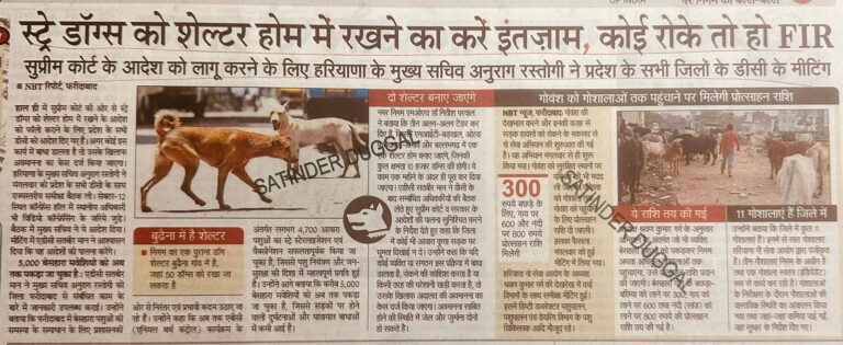 54f763eb-8945-420d-ba65-cbeec80283f5