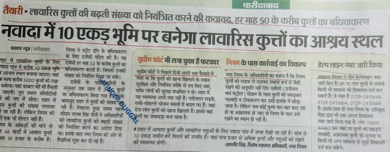 WhatsApp Image 2025-12-01 at 2.54.41 PM (1)