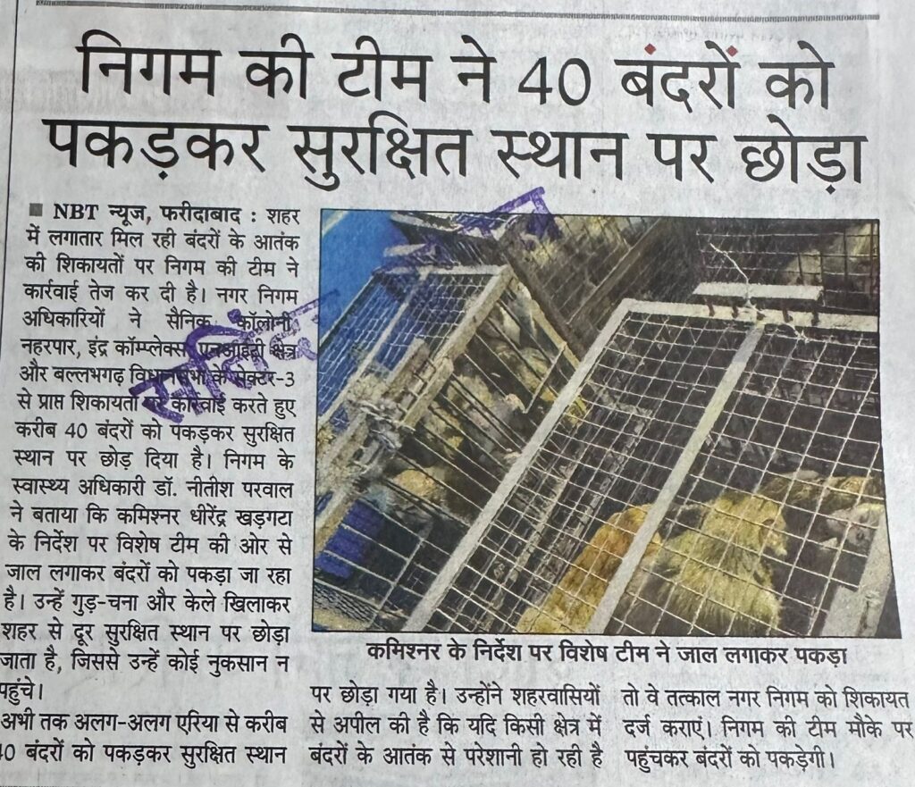 WhatsApp Image 2025-12-04 at 1.34.24 PM