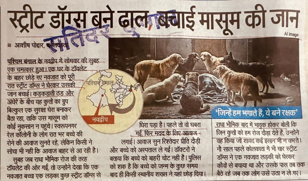 WhatsApp Image 2025-12-04 at 1.34.26 PM (1)