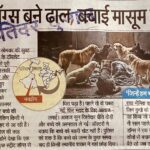 WhatsApp Image 2025-12-04 at 1.34.26 PM (1)