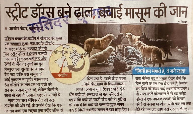 WhatsApp Image 2025-12-04 at 1.34.26 PM (1)