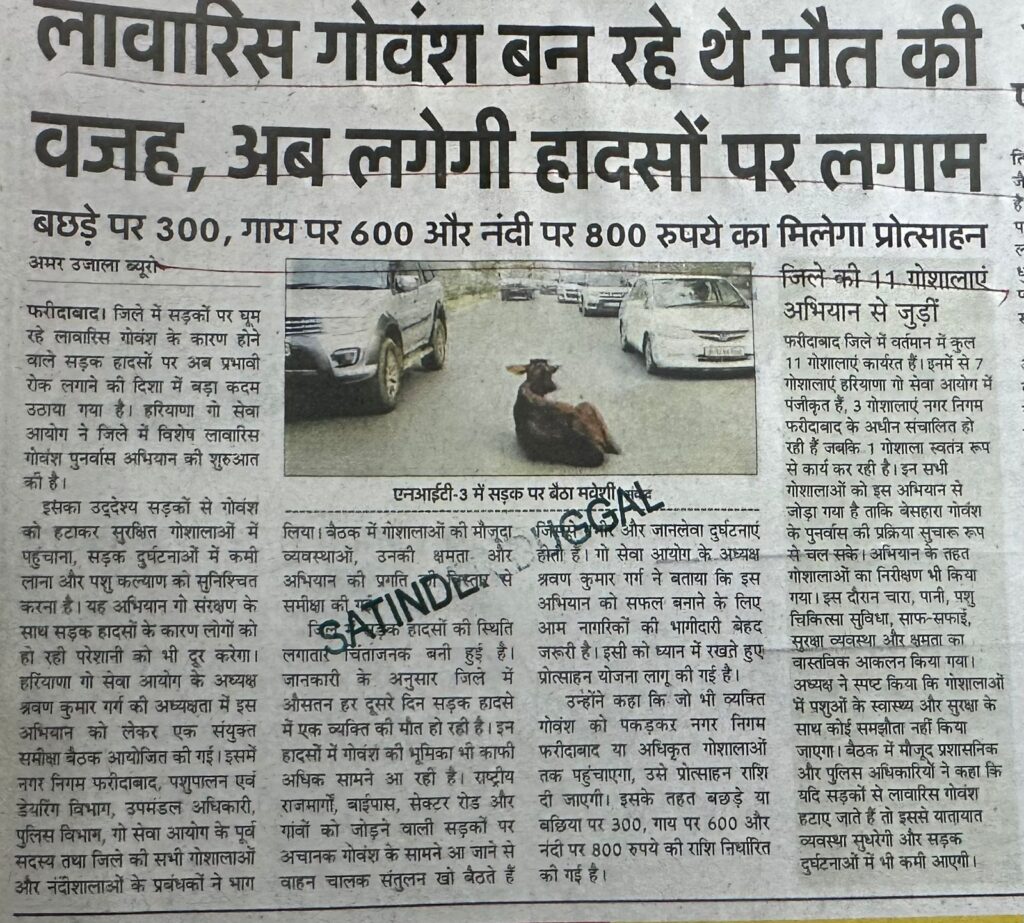 WhatsApp Image 2025-12-17 at 12.12.18 PM (1)