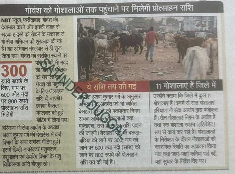 WhatsApp Image 2025-12-17 at 12.12.18 PM