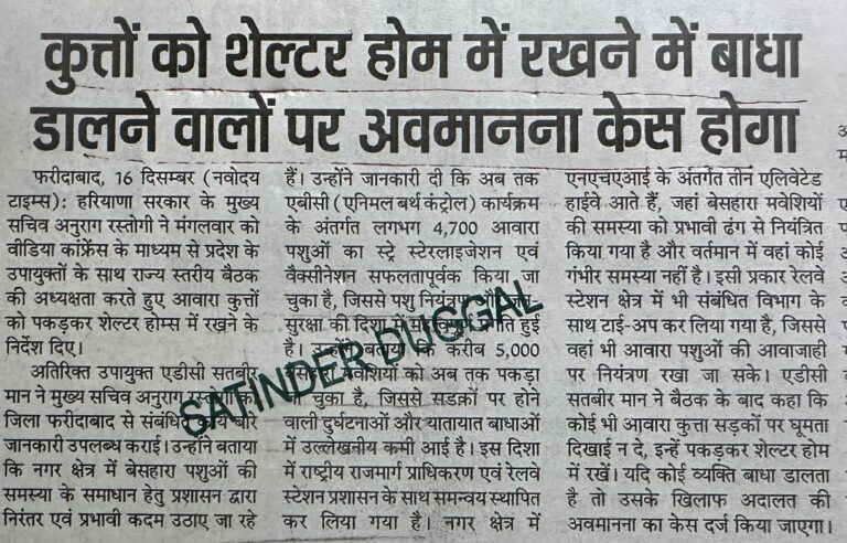 WhatsApp Image 2025-12-17 at 12.12.19 PM