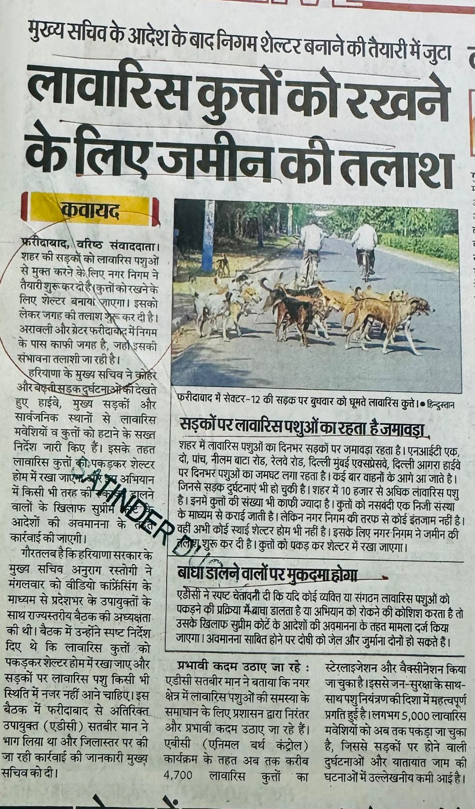 WhatsApp Image 2025-12-18 at 12.37.41 PM (1)