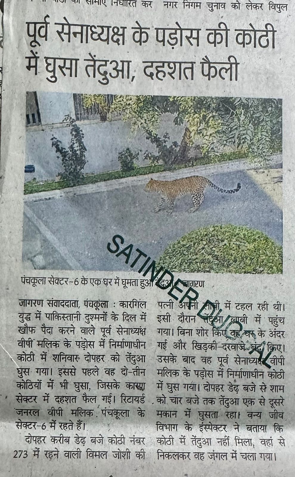 WhatsApp Image 2025-12-29 at 2.14.14 PM