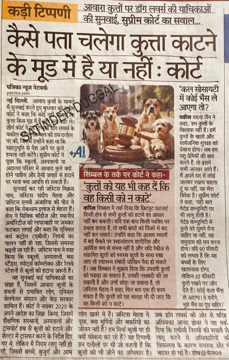 WhatsApp Image 2026-01-08 at 2.12.35 PM (1)