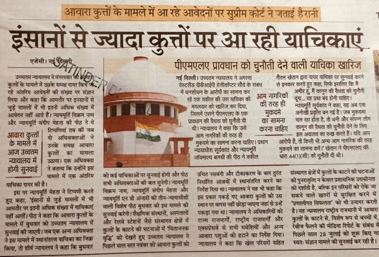 WhatsApp Image 2026-01-08 at 2.12.35 PM (2)