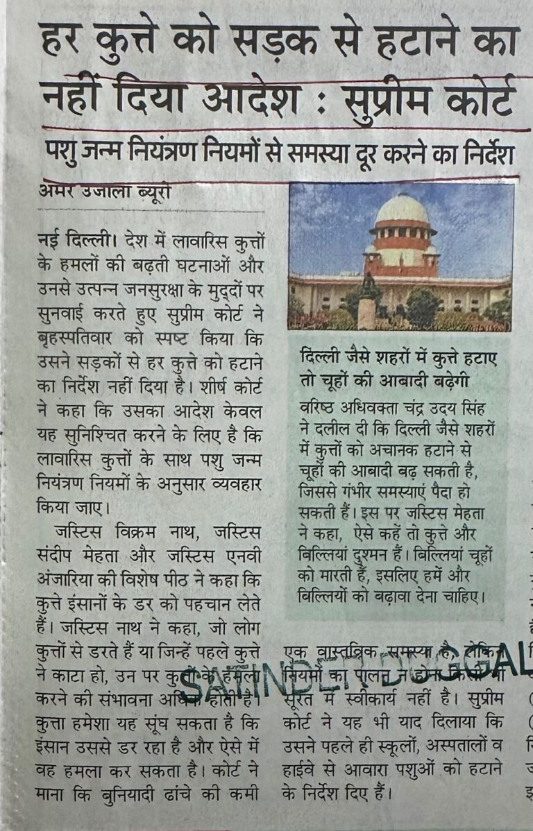 WhatsApp Image 2026-01-09 at 1.55.29 PM