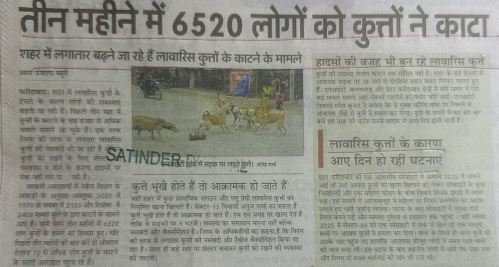 WhatsApp Image 2026-01-09 at 1.55.30 PM (1)