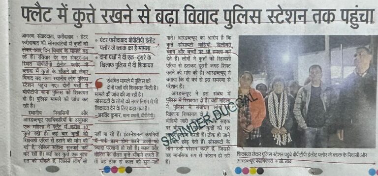 WhatsApp Image 2026-01-20 at 2.06.51 PM