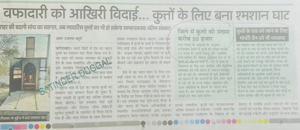 WhatsApp Image 2026-01-22 at 2.46.33 PM (1)