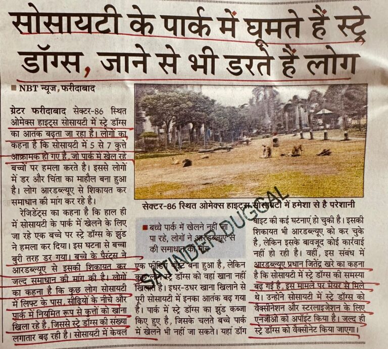 WhatsApp Image 2026-02-17 at 1.41.15 PM (1)