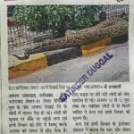 WhatsApp Image 2026-04-28 at 12.13.18 PM