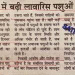 WhatsApp Image 2026-05-25 at 11.51.28 AM (1)