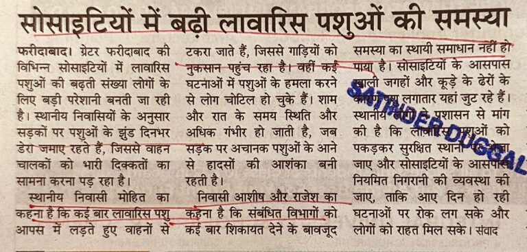 WhatsApp Image 2026-05-25 at 11.51.28 AM (1)