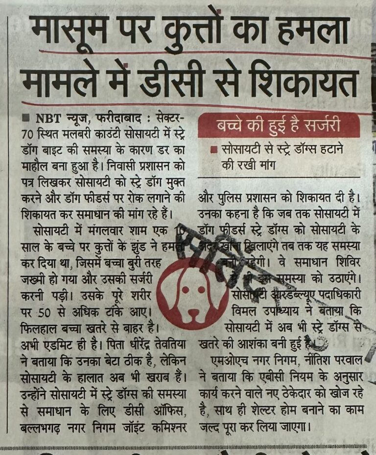 WhatsApp Image 2026-06-27 at 2.09.14 PM