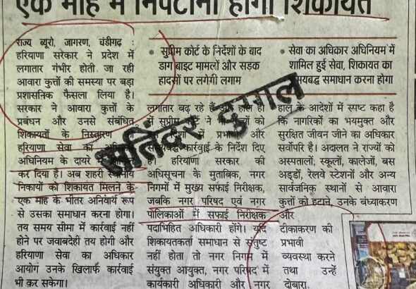 WhatsApp Image 2026-07-01 at 12.43.10 PM (2)