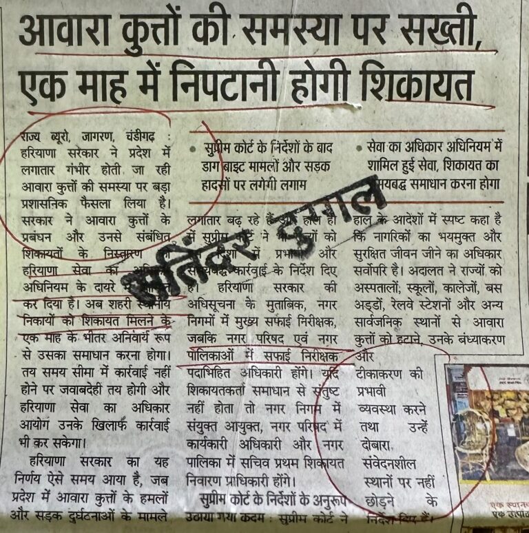 WhatsApp Image 2026-07-01 at 12.43.10 PM (2)