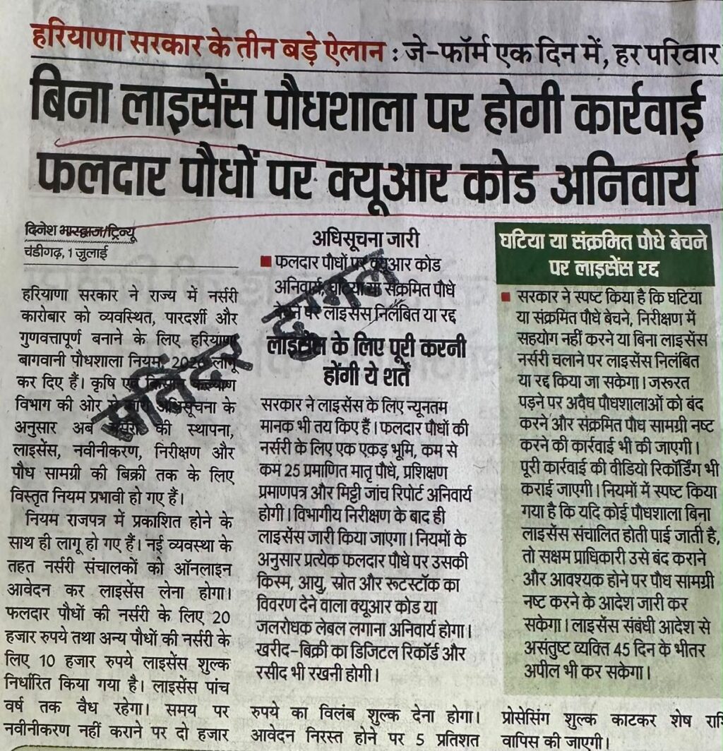 WhatsApp Image 2026-07-03 at 15.40.38 (7)